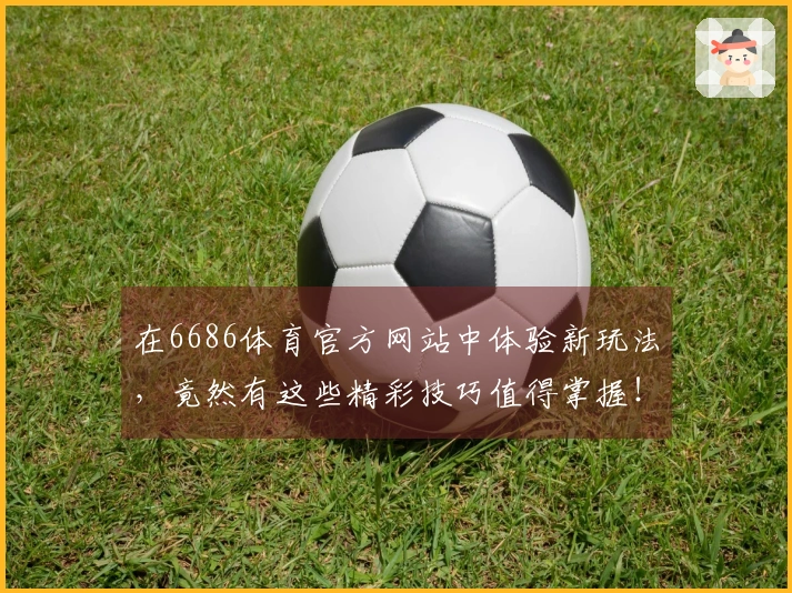 在6686体育官方网站中体验新玩法，竟然有这些精彩技巧值得掌握！