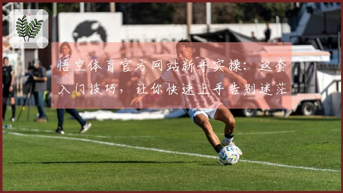 悟空体育官方网站新手实操：这套入门技巧，让你快速上手告别迷茫